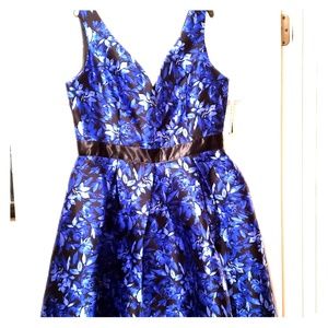 Shelby Nites Party Dress